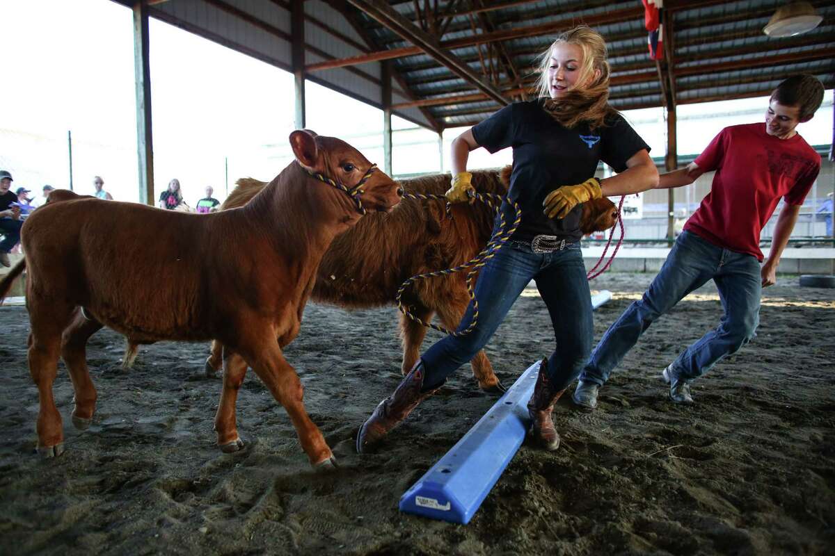Gen McKenzie, 16, of Snohomish, and Zach. Wilson, 15, of Stanwood compete in the "Cow Olympics" during the first weekend of the Evergreen State Fair in Monroe. The annual fair continues through September 1. Photographed on Saturday, August 23, 2014.