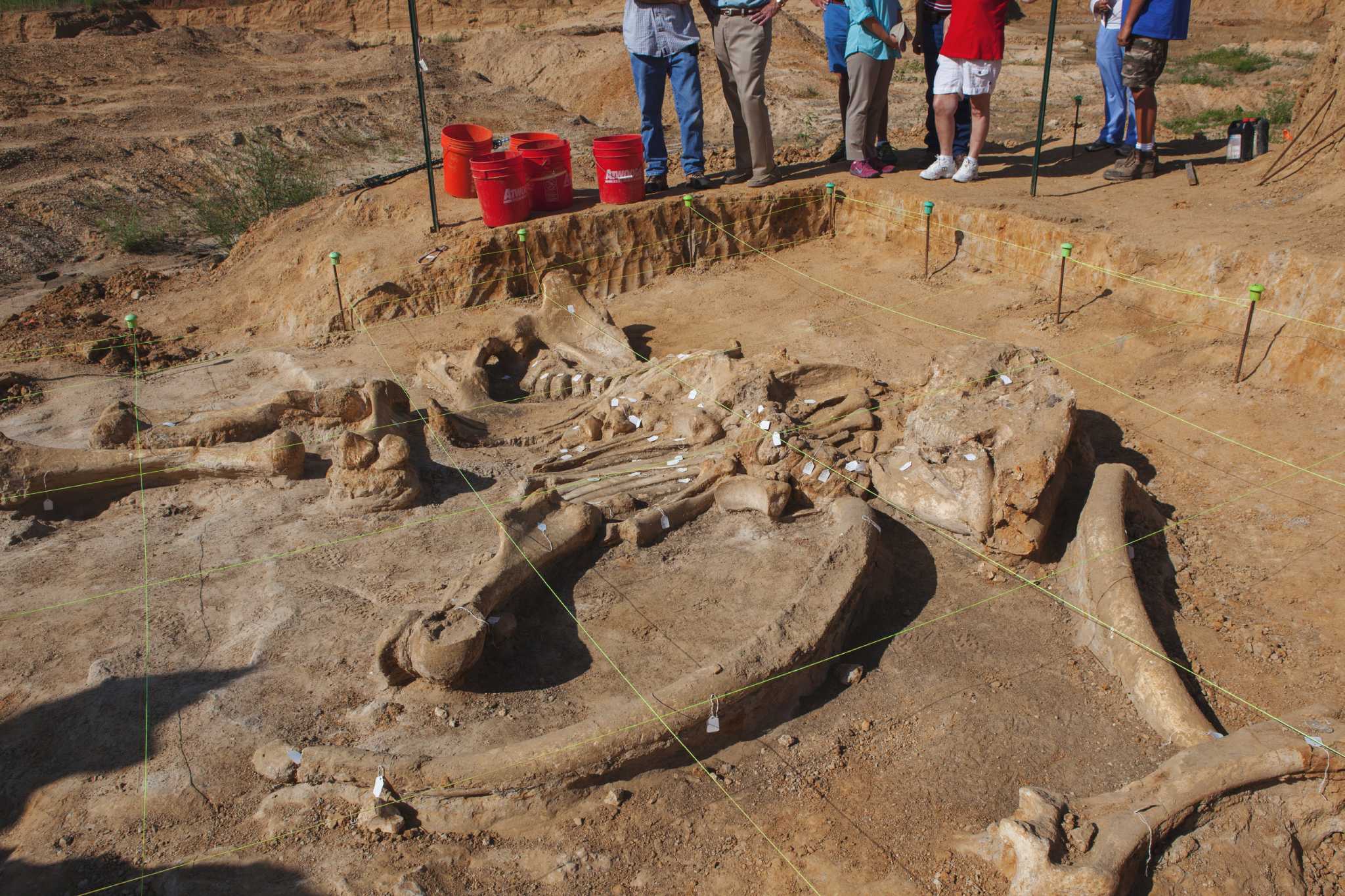 Pristine 40,000-year-old mammoth skeleton uncovered in ...
