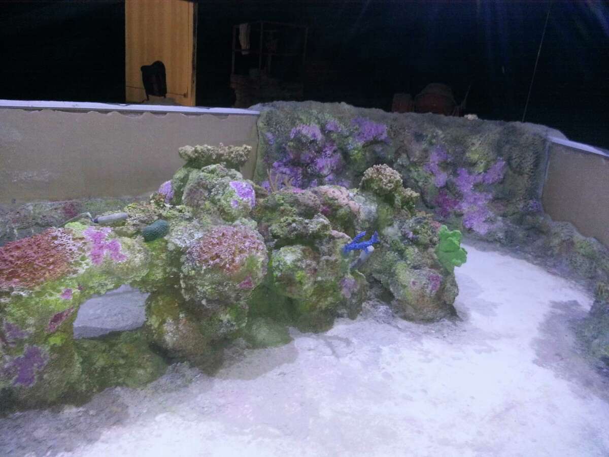 San Antonio Aquarium owners under investigation in 220 marine animal deaths