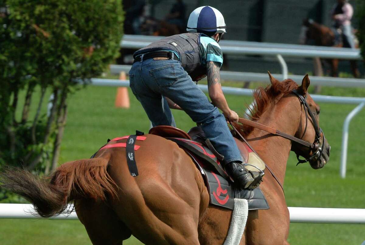 Wise Dan ready for return