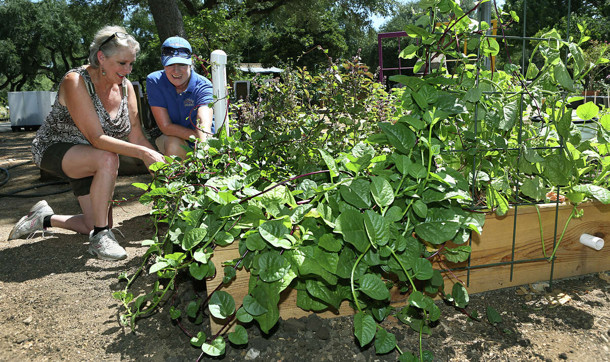 Davis eyes ditching corporate tax breaks