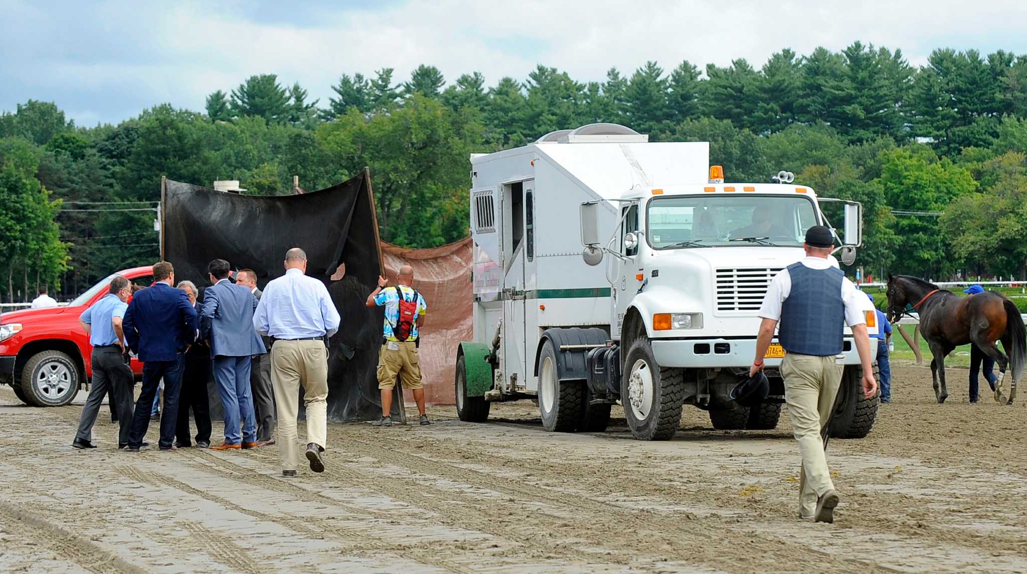 N.Y. investigates Saratoga meet race horse deaths