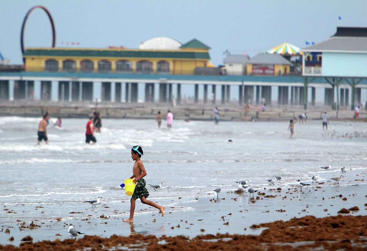 Cast your vote for the best of the best in Galveston