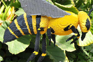 LEGO sculptures take over Botanical Garden Saturday