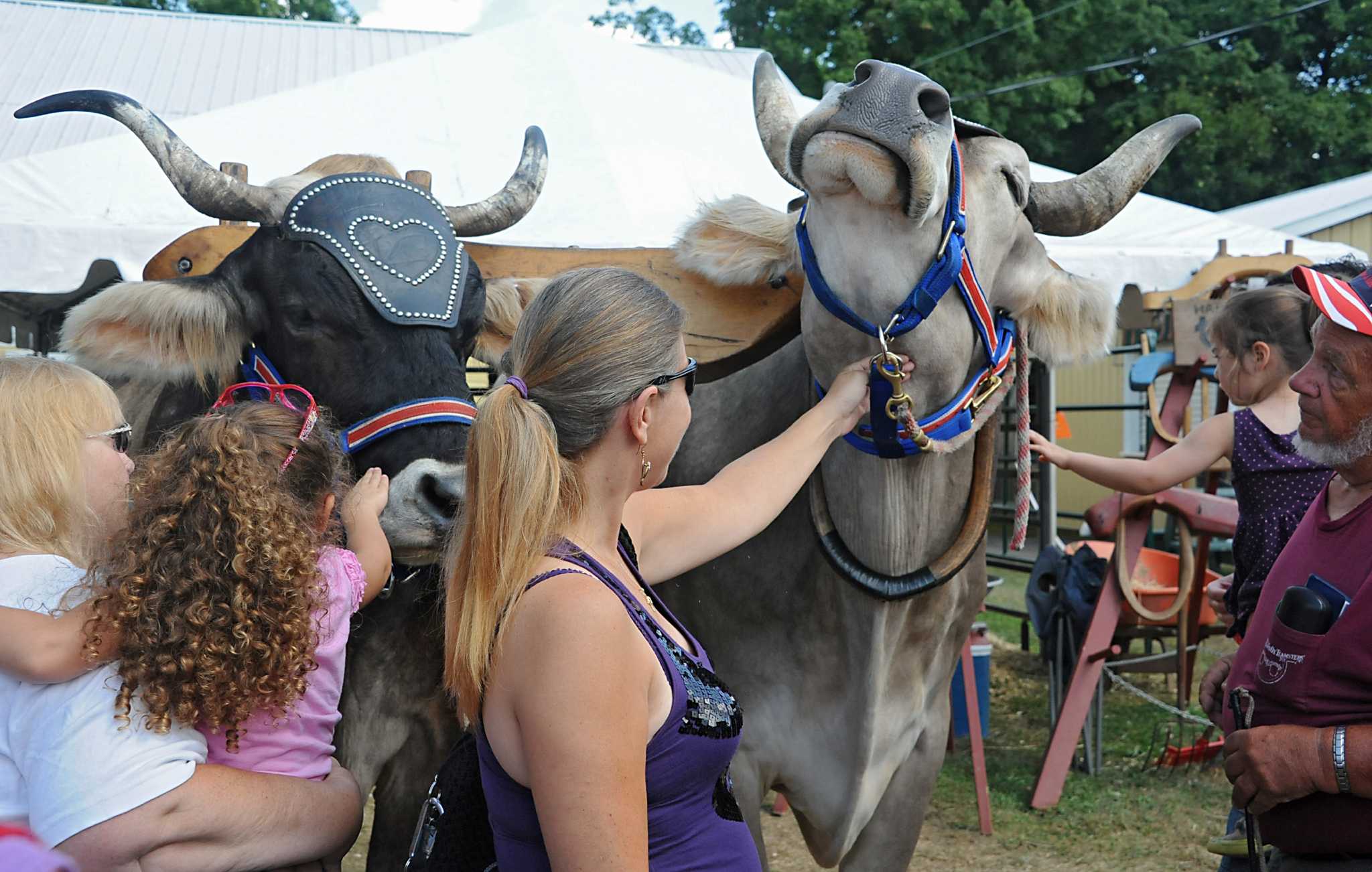 Photos Schaghticoke Fair opens Times Union