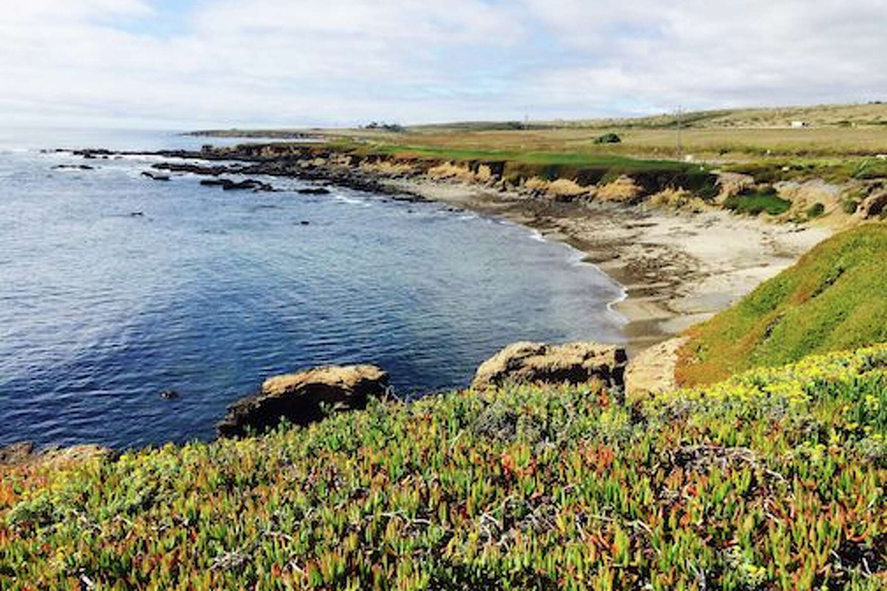 harley overnight bolsa