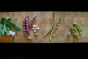 Cool beans: Fresh shelling beans arrive at last