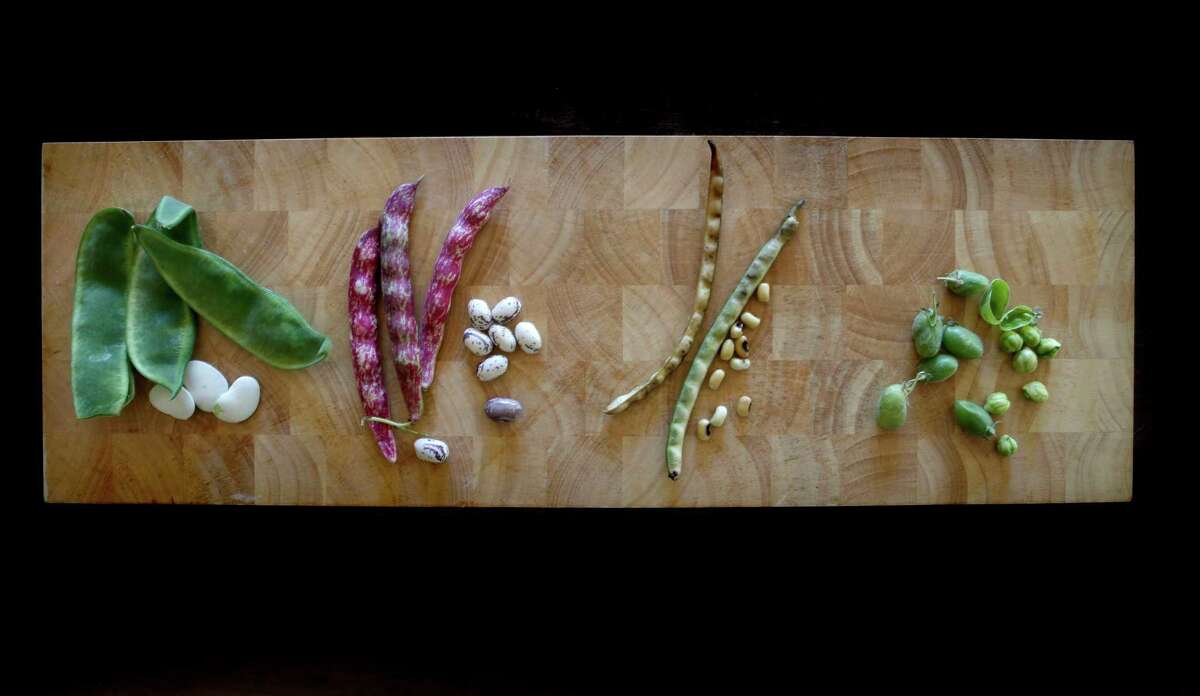 From left to right: Cannellini Beans, Cranberry Beans, Black Eyed Peas and Garbanzo Beans.