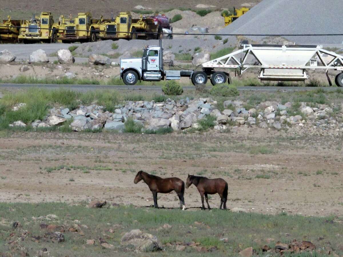 Mustangs graze at the Tahoe Reno Industrial Center 15 miles east of Sparks, Nev., Thursday, Sept. 4, 2014. Tesla Motors Inc. plans to build a 6,500 worker "gigafactory" to mass produce cheaper lithium batteries for its next line of more-affordable electric cars near the center. (AP Photo/Scott Sonner)