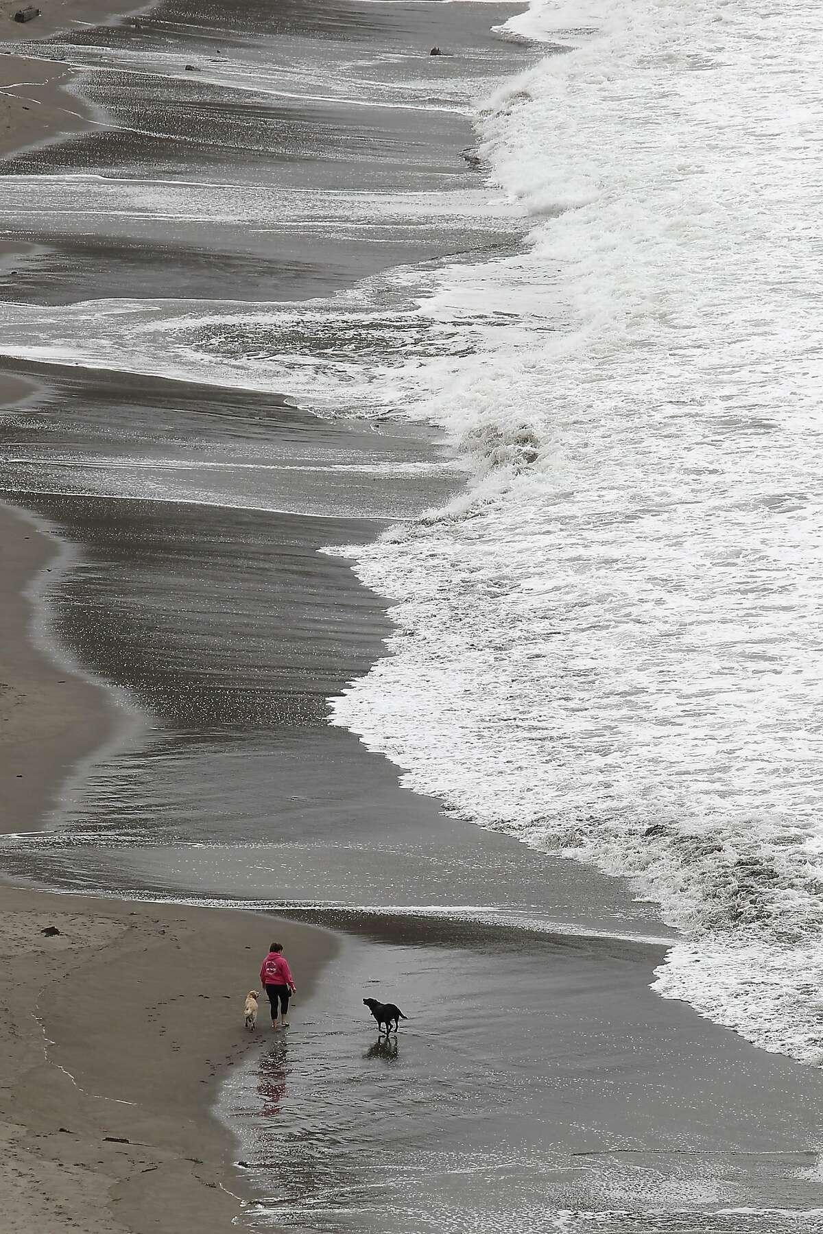 A person walks her dog along Muir Beach in Marin, CA, Thursday, August 28, 2014.