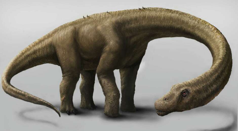 dreadnoughtus fossil