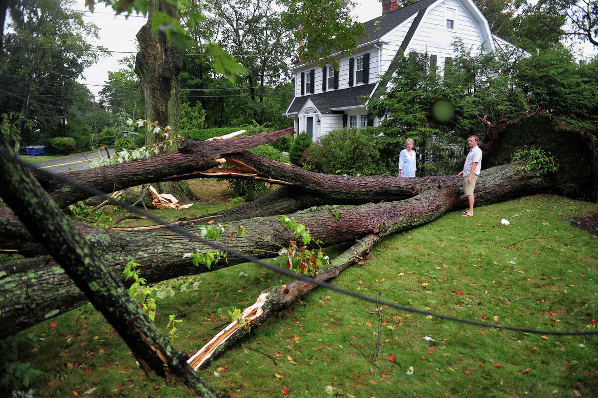 Trees Uprooted Power Kod As Storms Wallop Fairfield