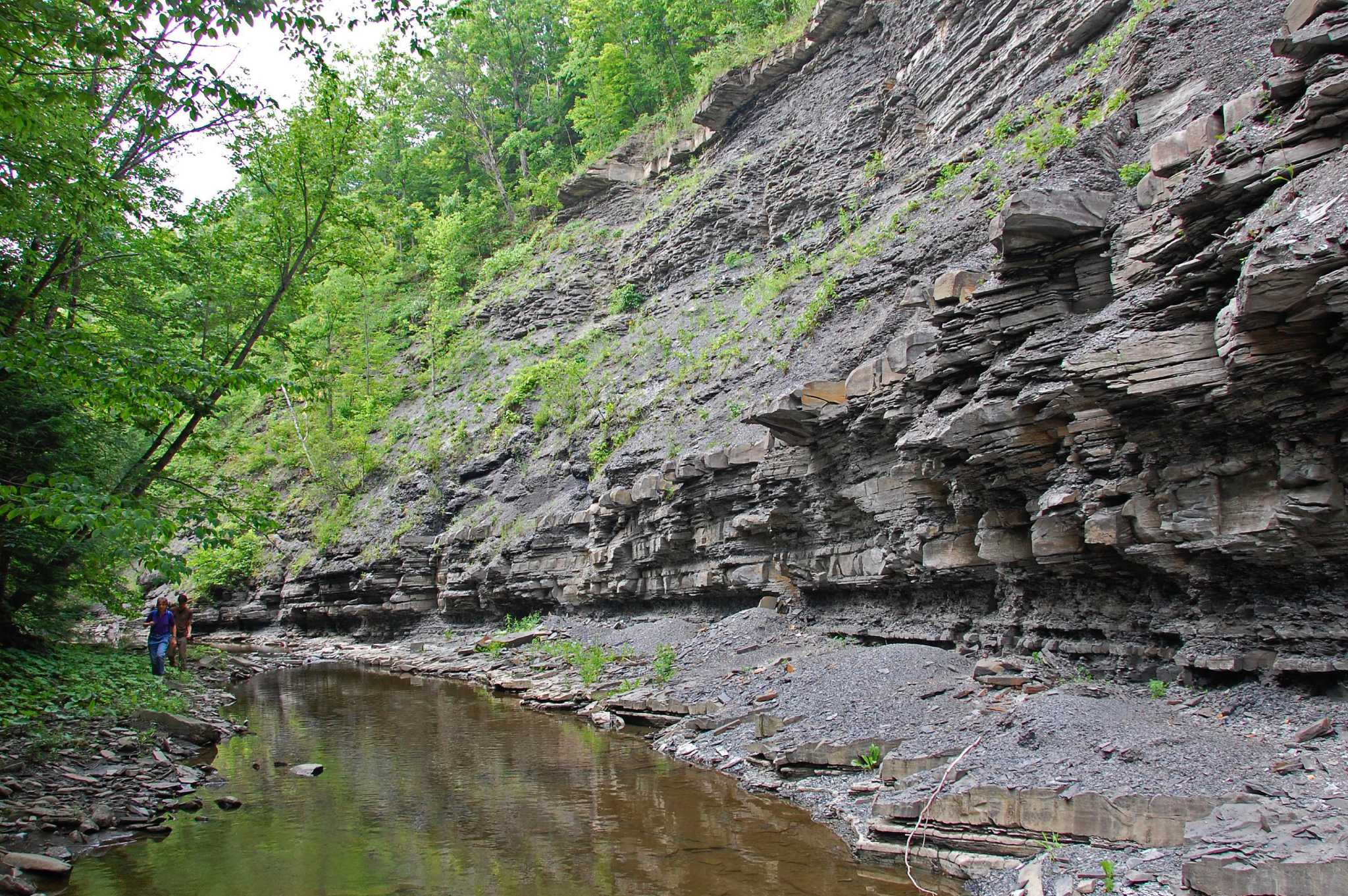 Family's land preserved