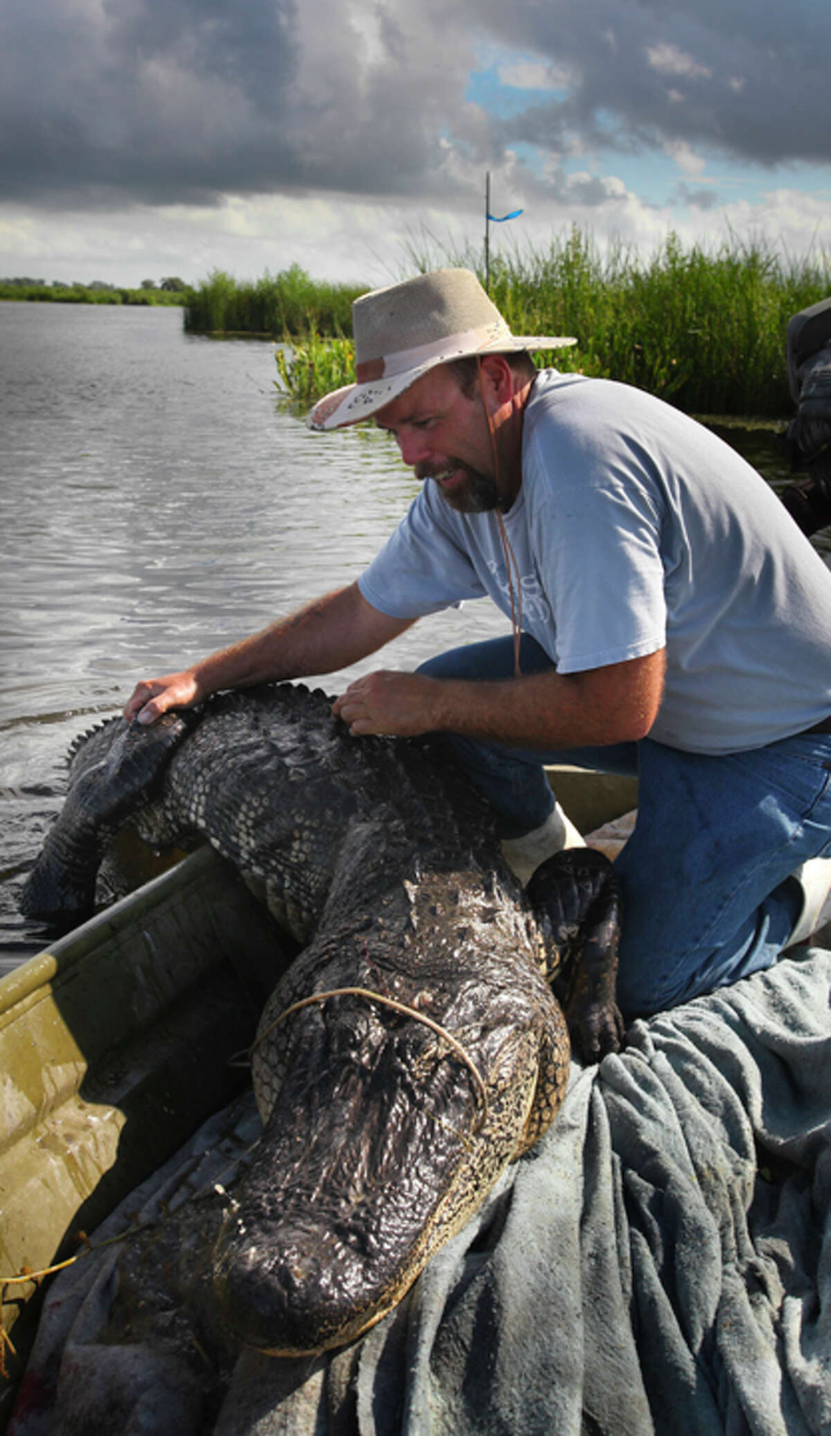 Alligator hunting season opens in Texas