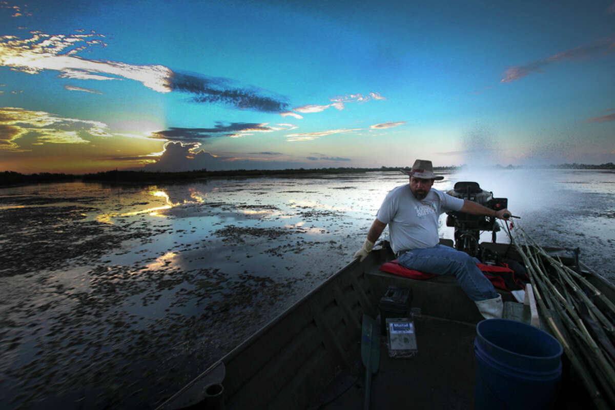 Alligator hunting season opens in Texas