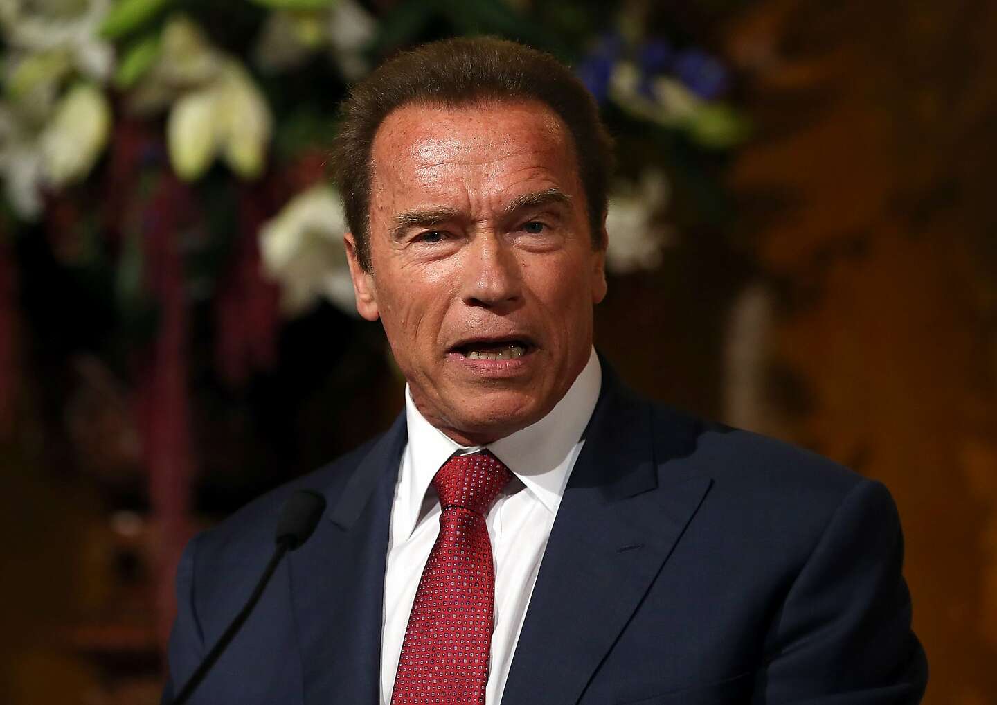 Schwarzenegger returns to the capitol for portrait unveiling