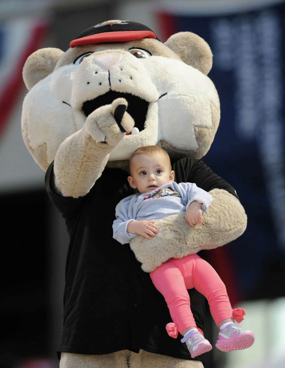 The Tri-City ValleyCats mascot, Southpaw, can be spotted at the team's home games and at events all over his hometown of Troy. (Lori Van Buren / Times Union)