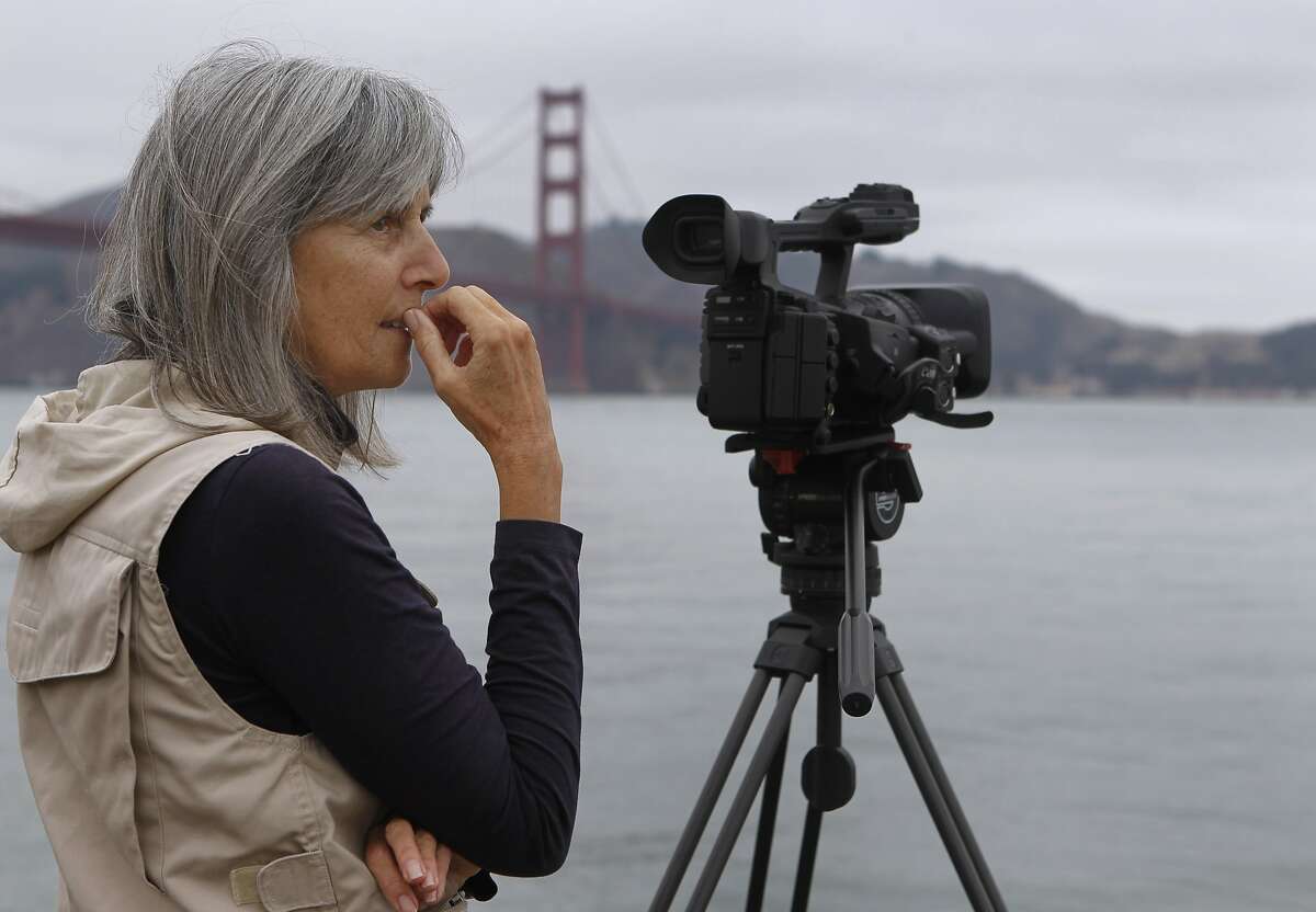 Filmmaker Judy Irving watches for brown pelicans to film from Torpedo Wharf at Crissy Field in San Francisco, Calif. on Tuesday, Sept. 9, 2014. Irving's newest film, Pelican Dreams, premieres on Oct. 24 and is the latest documentary from the producer of The Wild Parrots of Telegraph Hill.