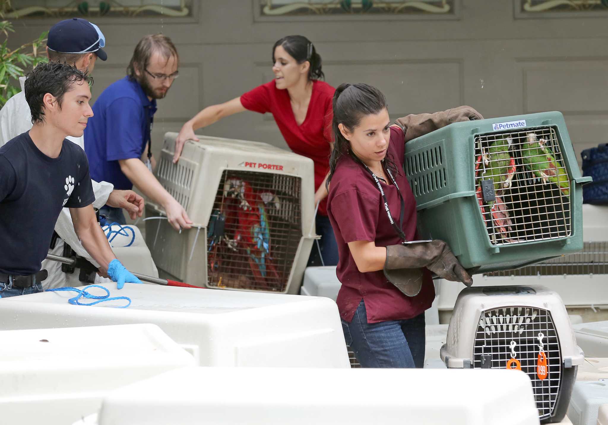 Around the area & state SPCA seizes nearly 100 animals from Santa Fe home