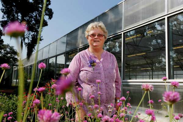 Houston S Top Gardener Hangs Up Her Trowel After 28 Years Houstonchronicle Com