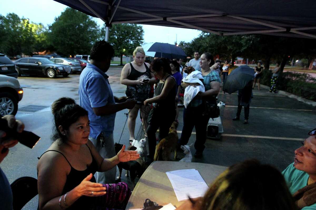 City to start lowcost spayneuter service at BARC clinic