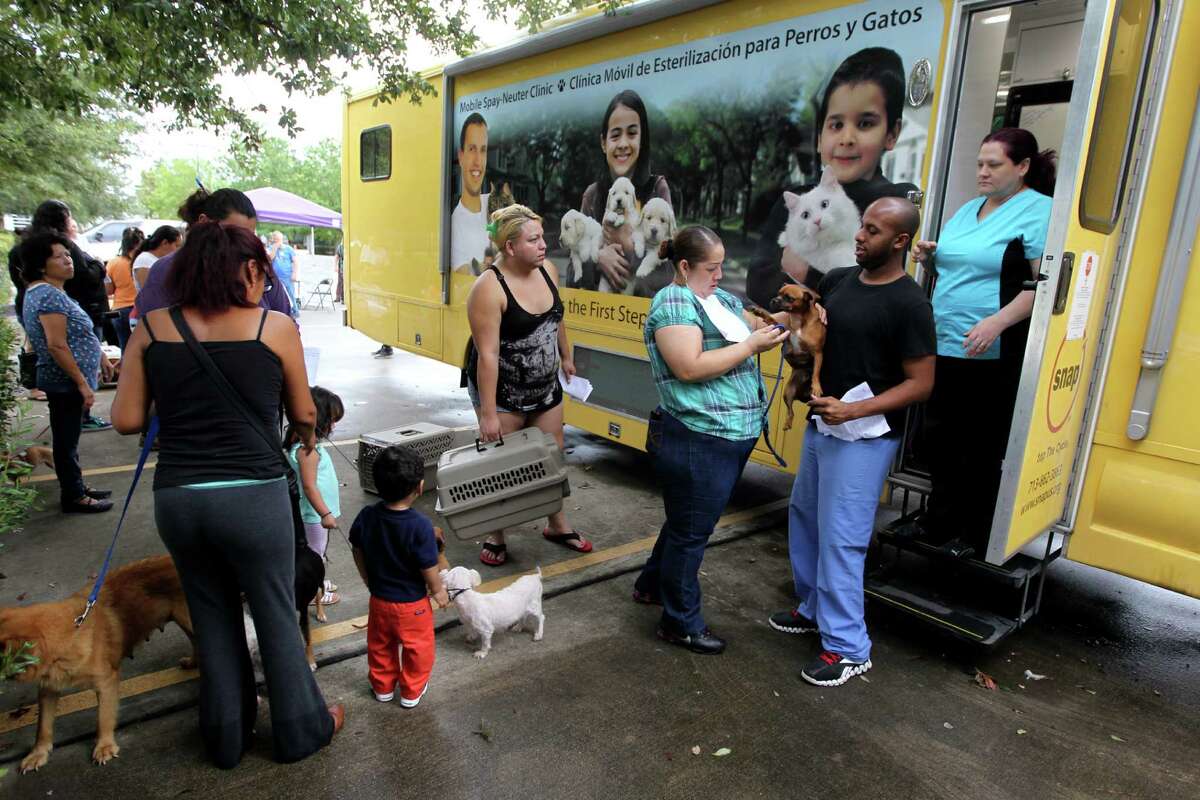 City to start lowcost spayneuter service at BARC clinic