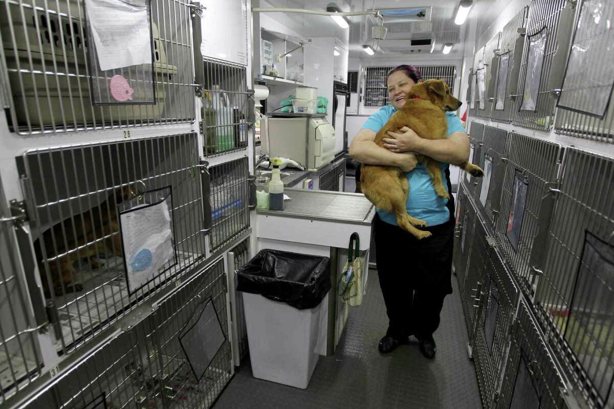 City to start lowcost spayneuter service at BARC clinic