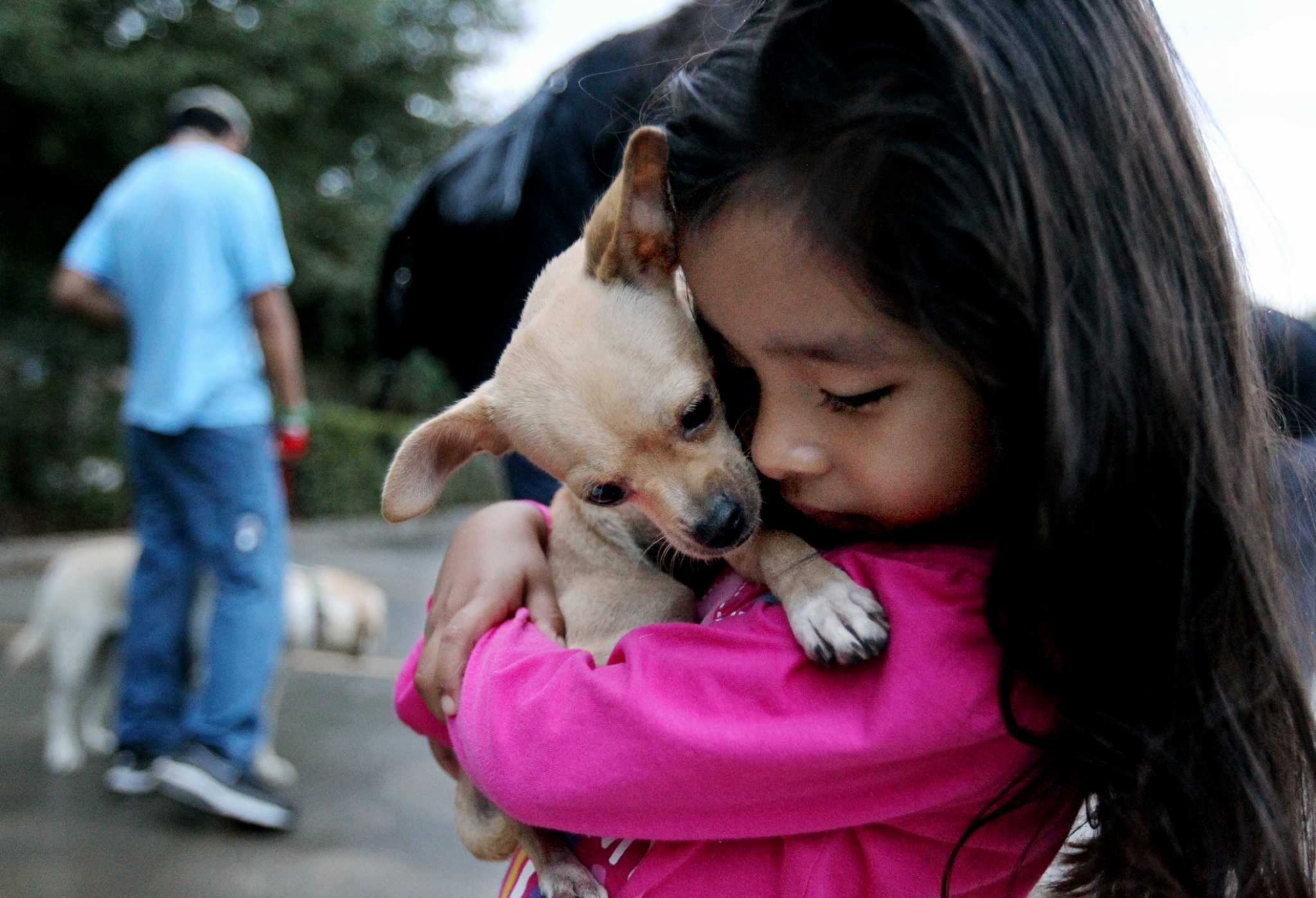 American Kennel Club names Houston's top dog breeds