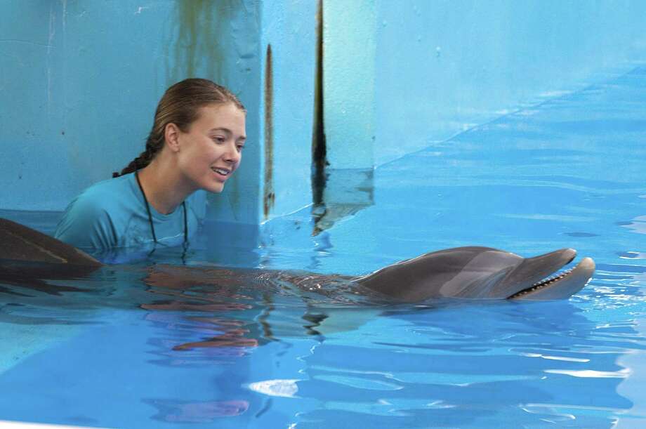 Granger on Movies: 'Dolphin Tale 2' - Westport News