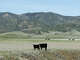 Sites Reservoir is slated to be built at a site near the town of Maxwell in Colusa County.