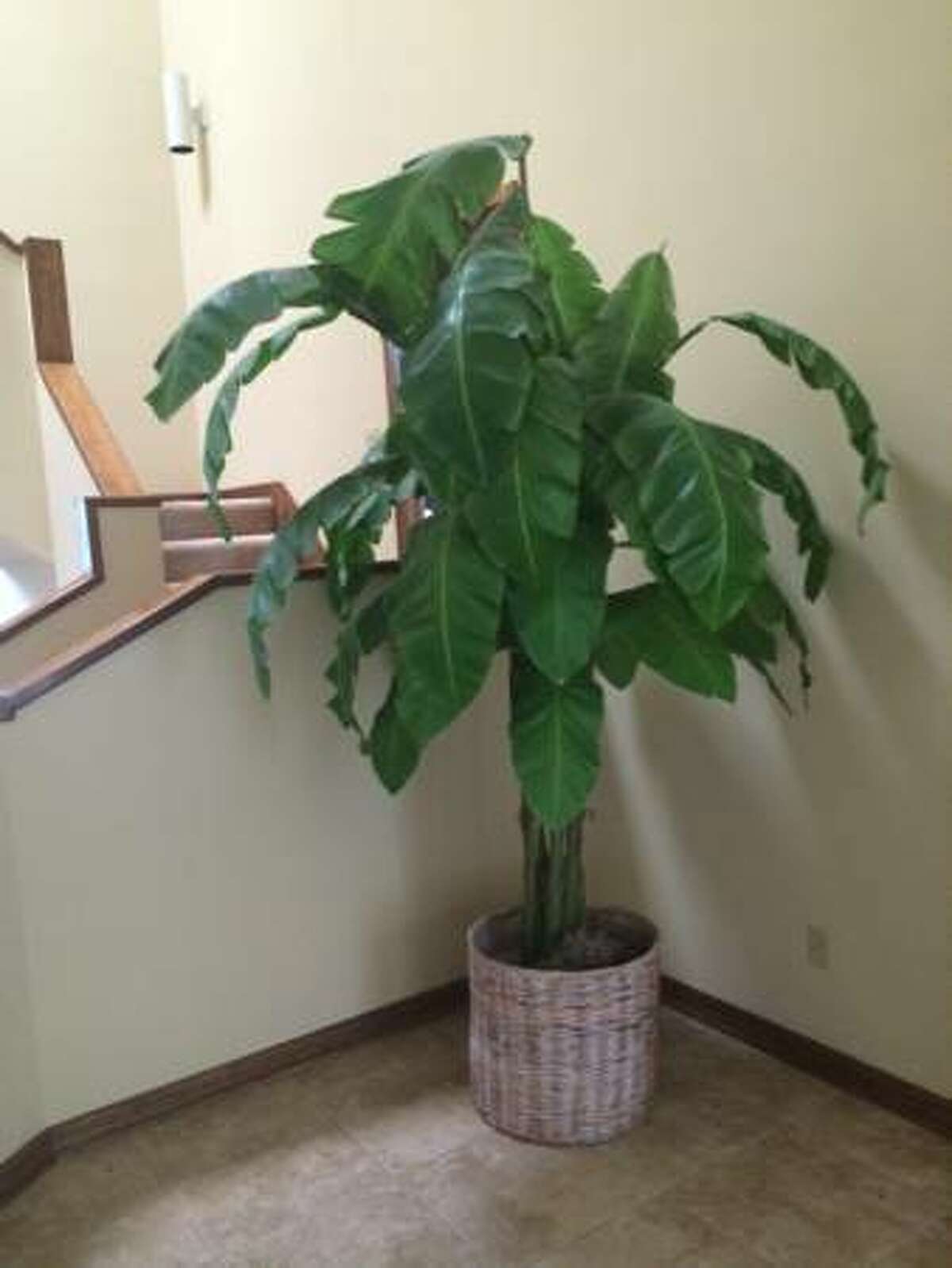 Favorite Southeast Texas Craigslist finds