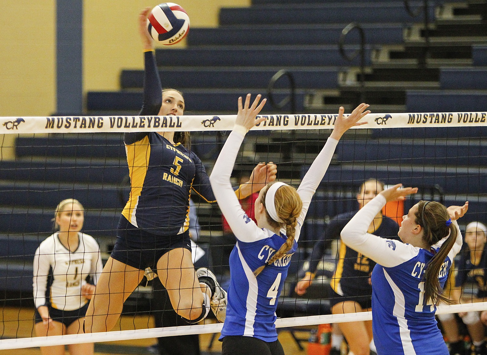 Volleyball player earns national honor