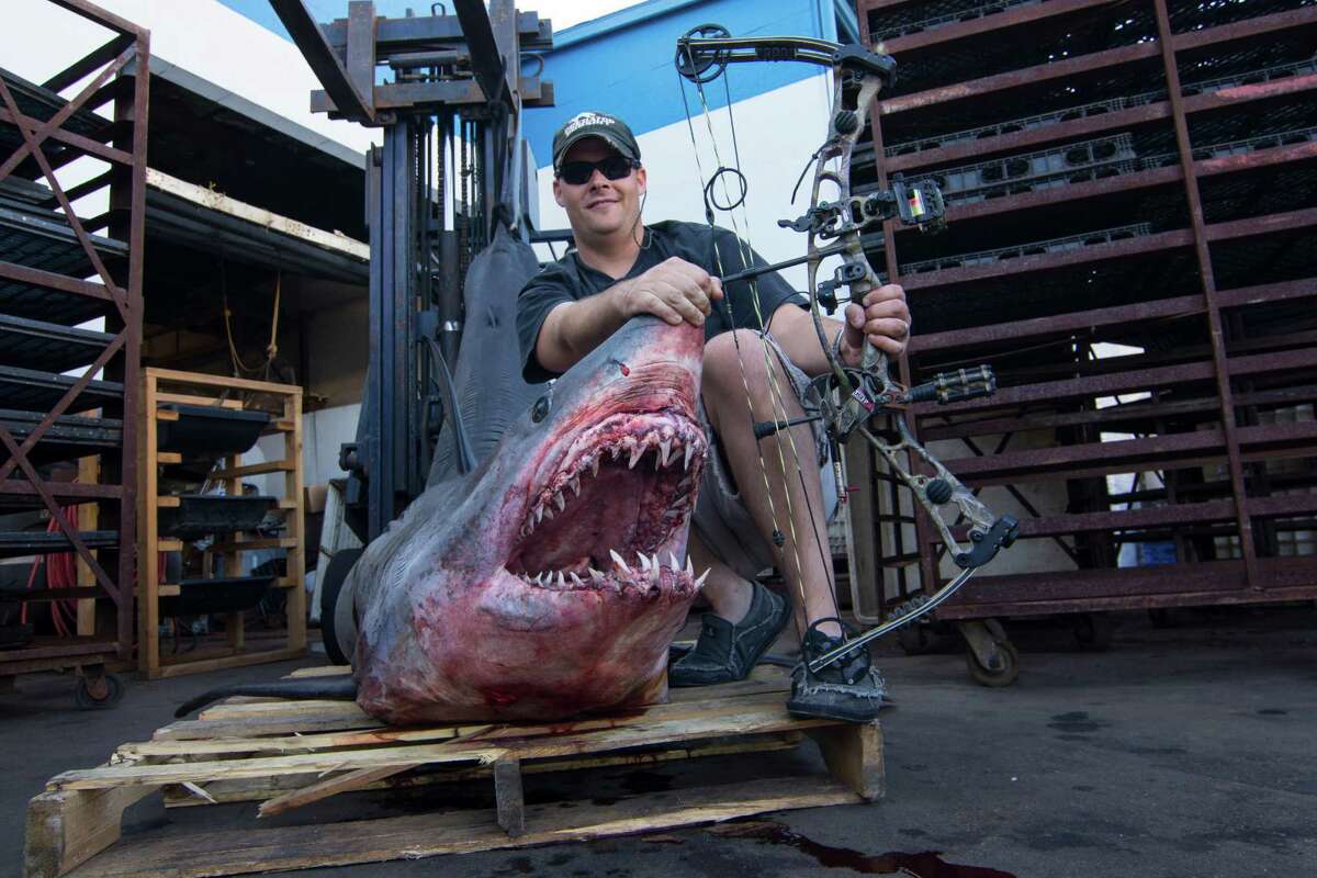 Texas TV host lands worldrecord Mako shark by shooting it with a bow