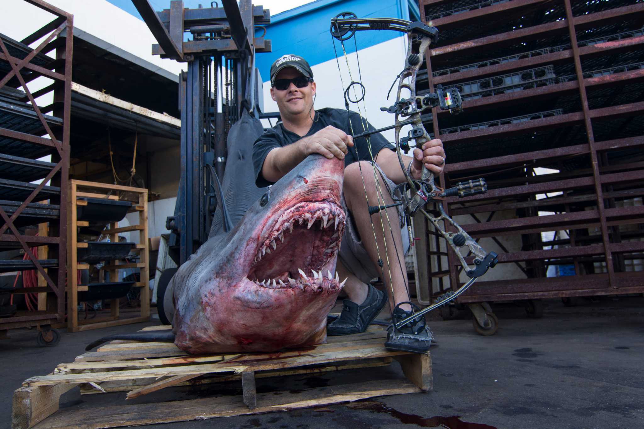 Texas TV host lands world-record Mako shark by shooting it with a bow