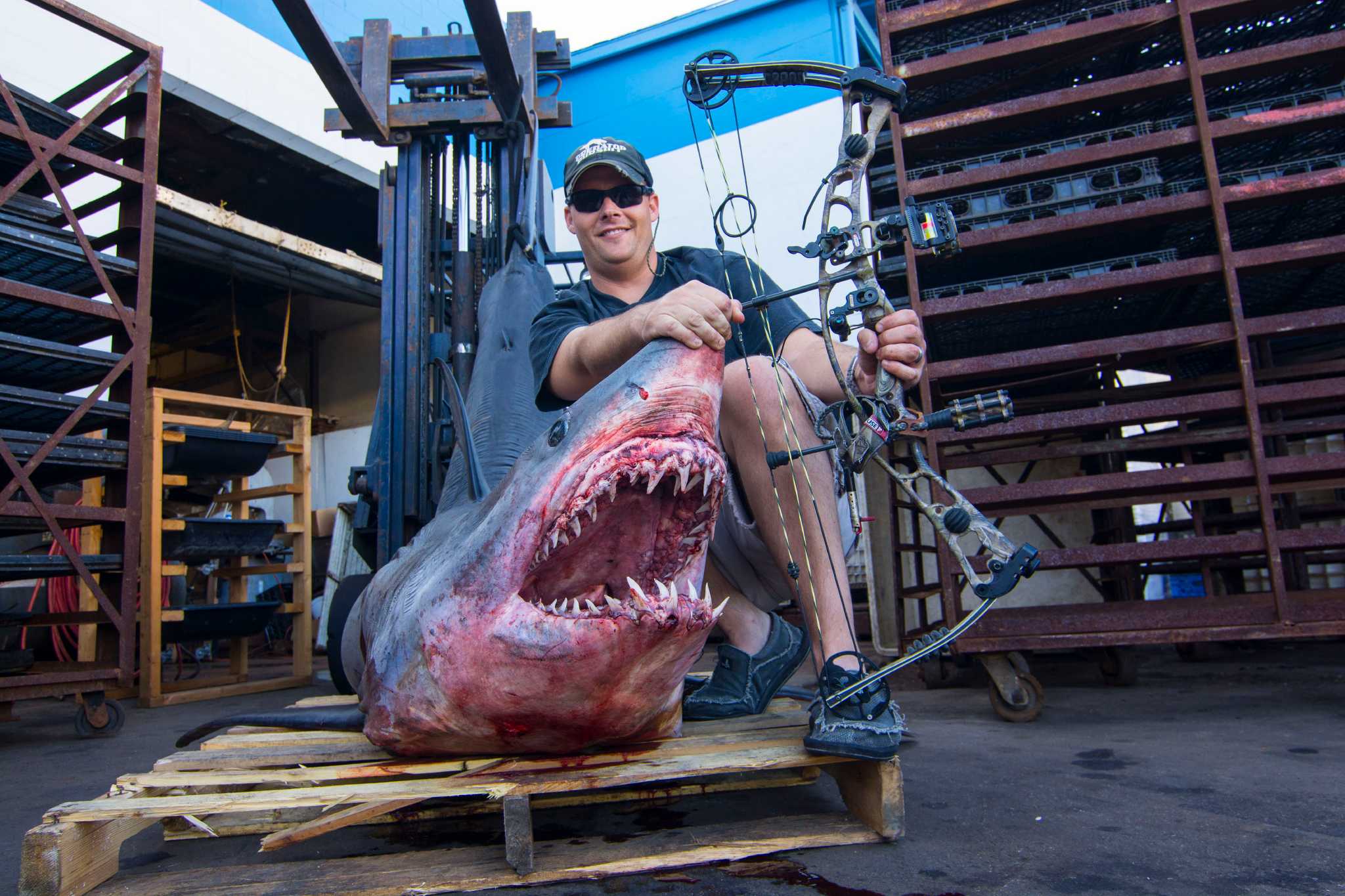 Advocate Texas TV host a 'sad little man' for shooting Mako shark's