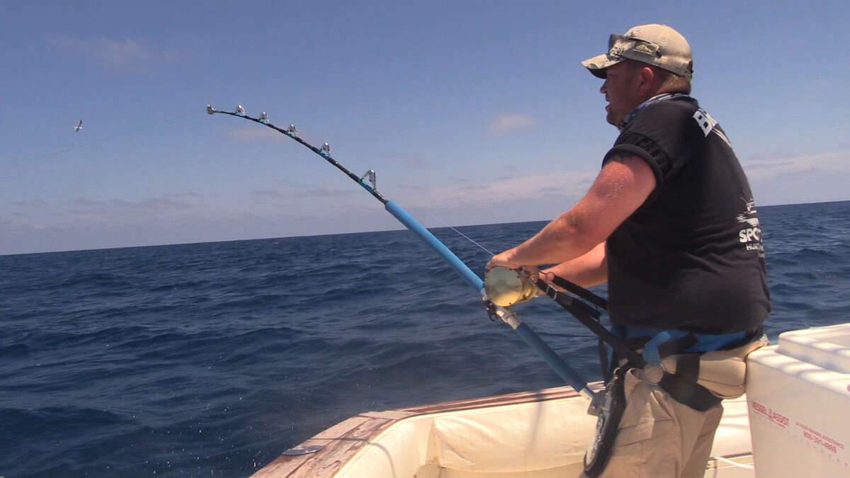 Texas TV host lands world-record Mako shark by shooting it with a bow