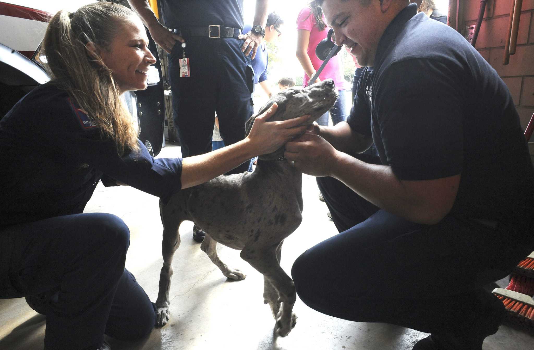 Firefighters reunite with dog they saved