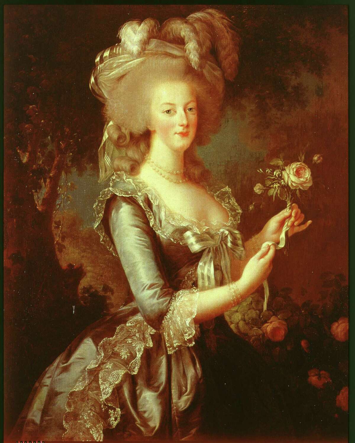Marie Antoinette ﻿was born an archduchess of Austria who became the last queen of France﻿. She was executed in 1793.
