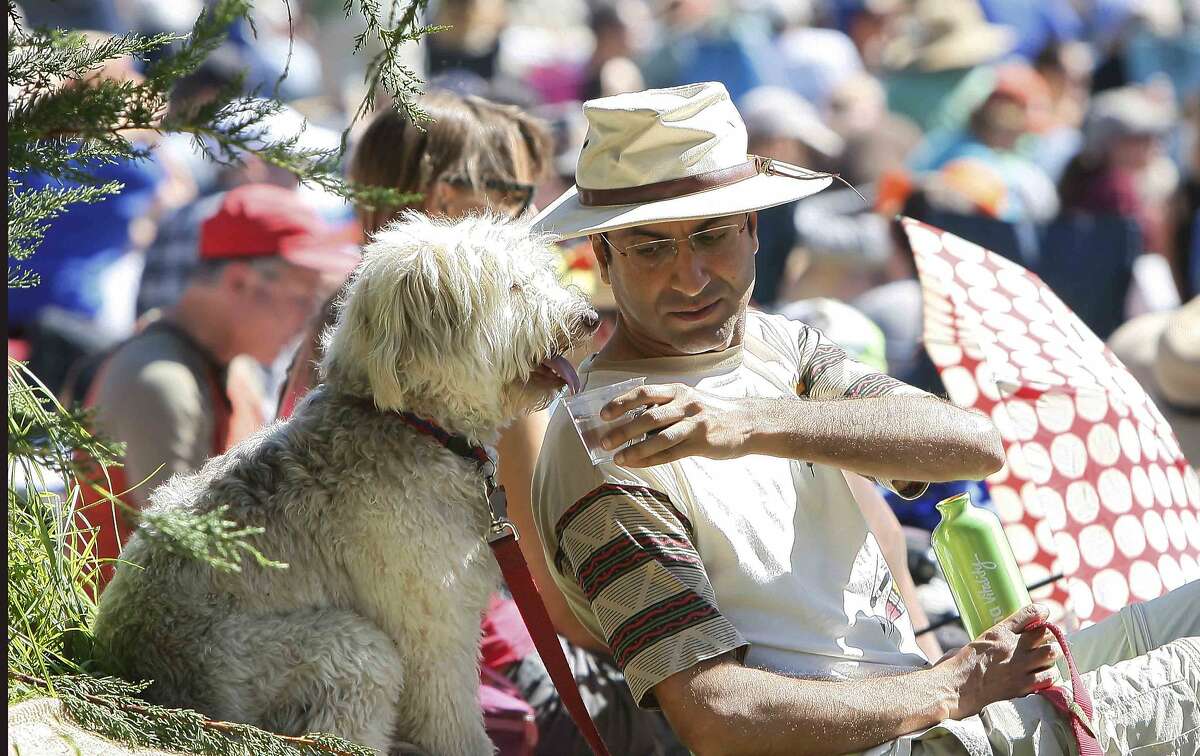 Gaurav Marwaha gives his dog, Oscar, a sip of water during the third day of the Hardly Strictly Bluegrass Festival in San Francisco's Golden Gate Park Sunday, October 5, 2014.