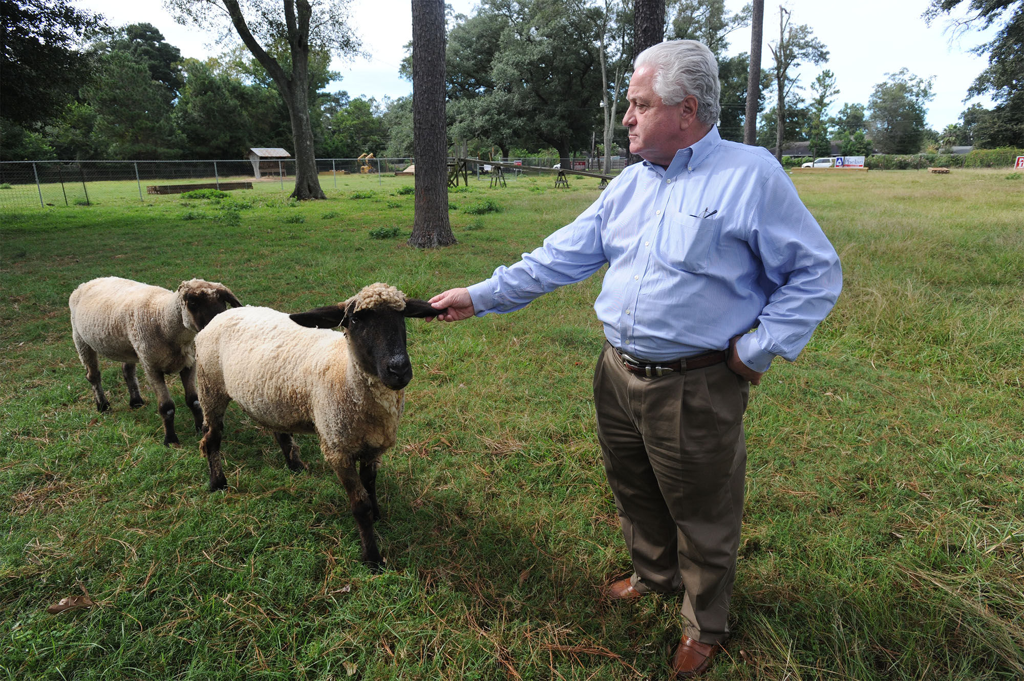 The Phelan Blvd. goats are moving to a new home