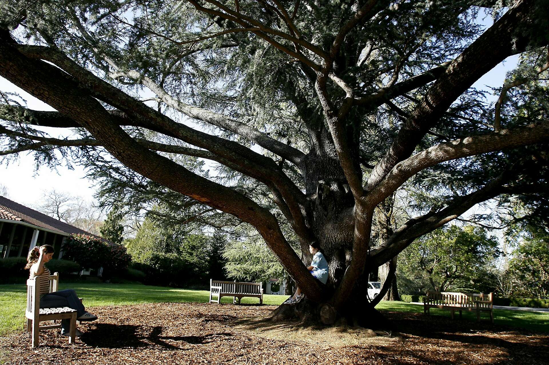 11 Bay Area private high schools among 100 best in US