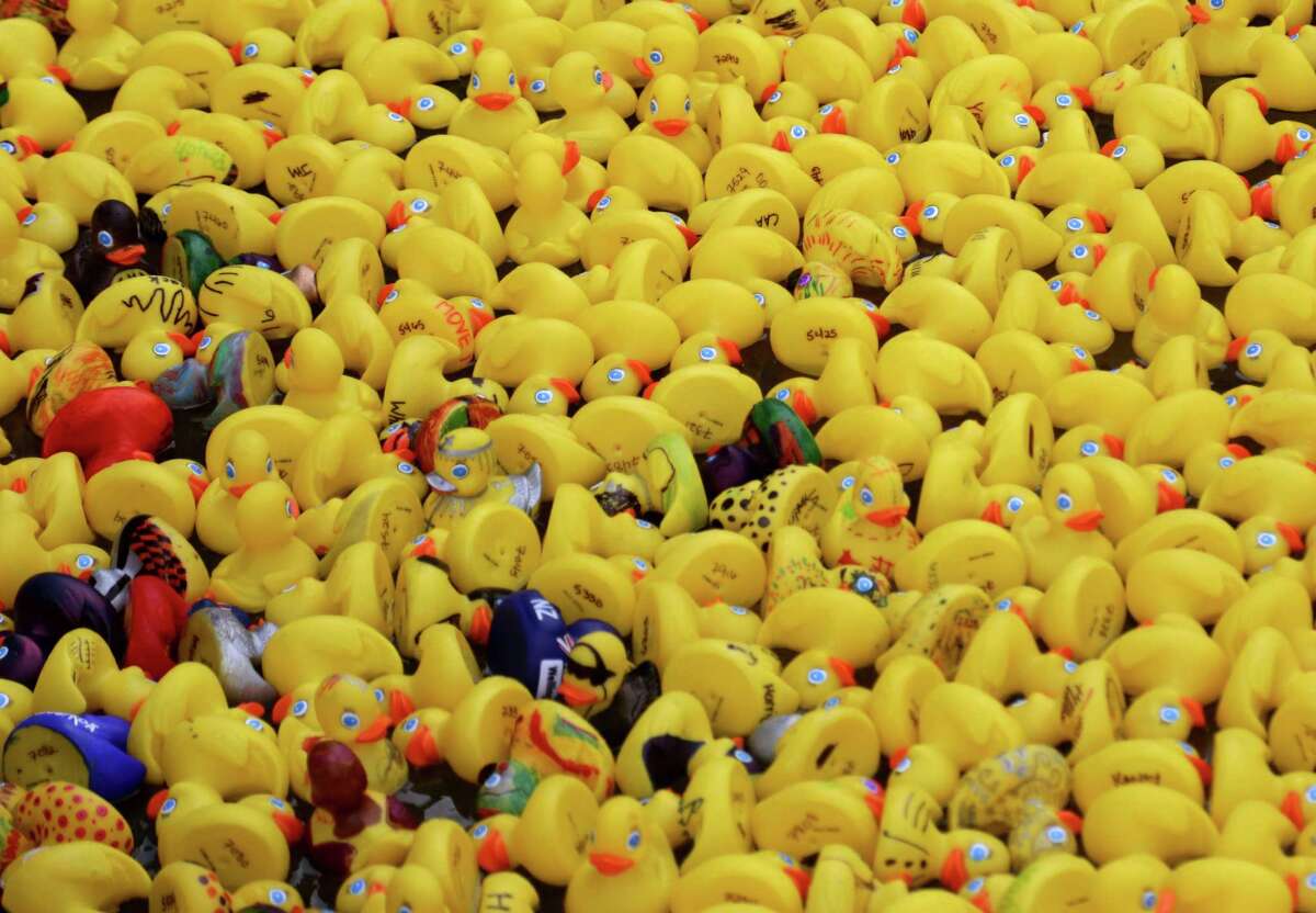 1000 rubber ducks cheap