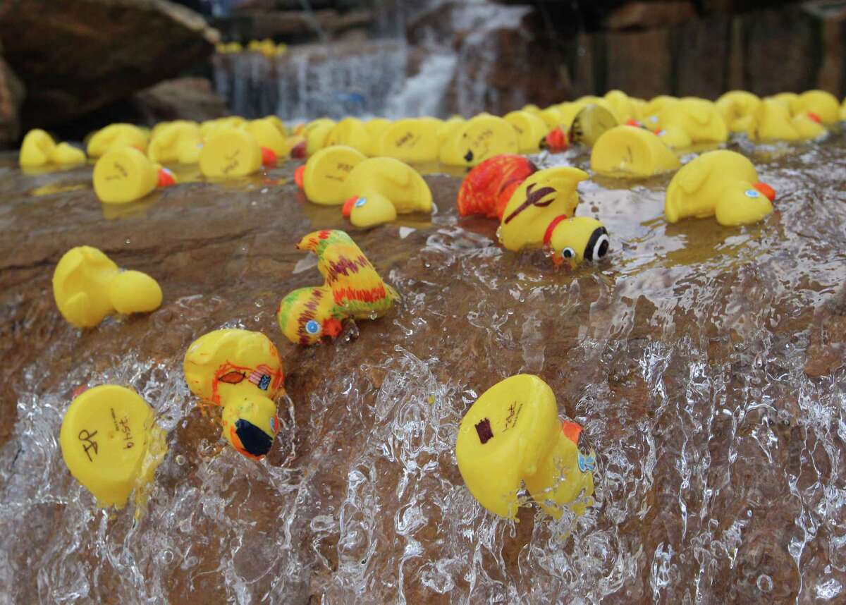 1000 rubber ducks cheap