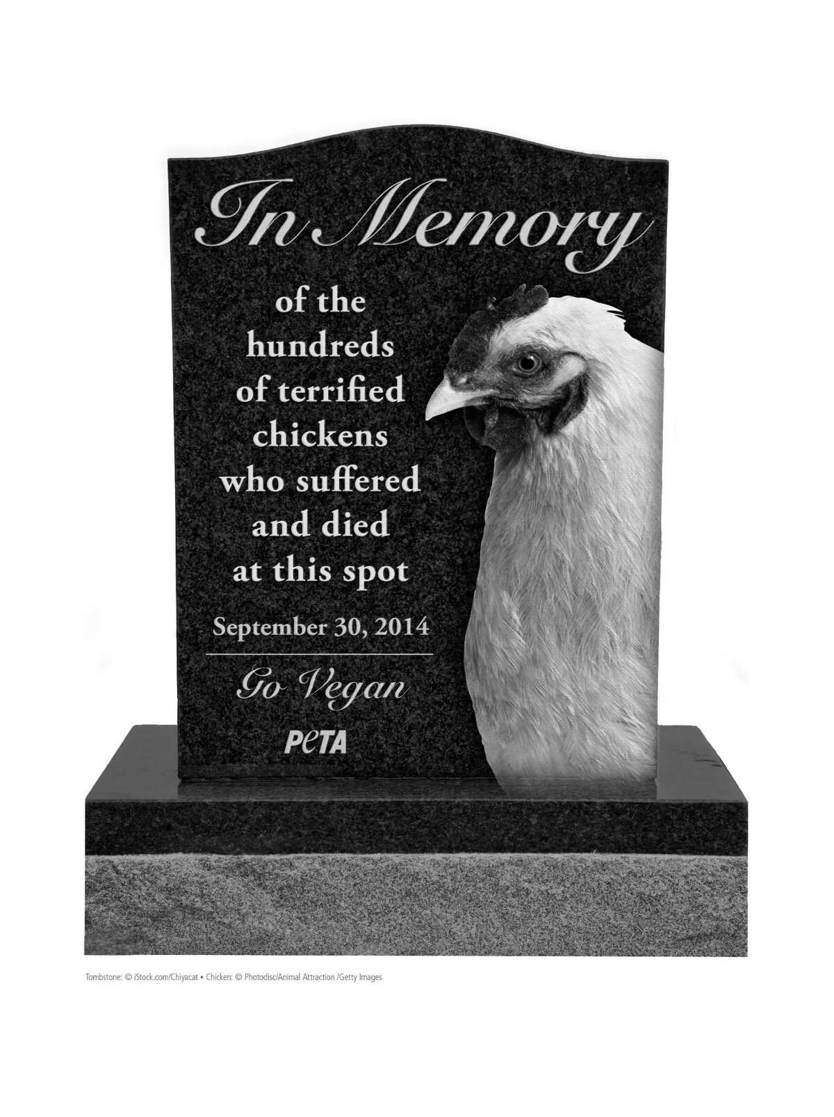 Animal rights group PETA have written to the Texas department of transport to request permission to install this 10 foot high tombstone at the spot where an 18-wheeler carrying chickens overturned on Sept 30 in Bryan, Texas.