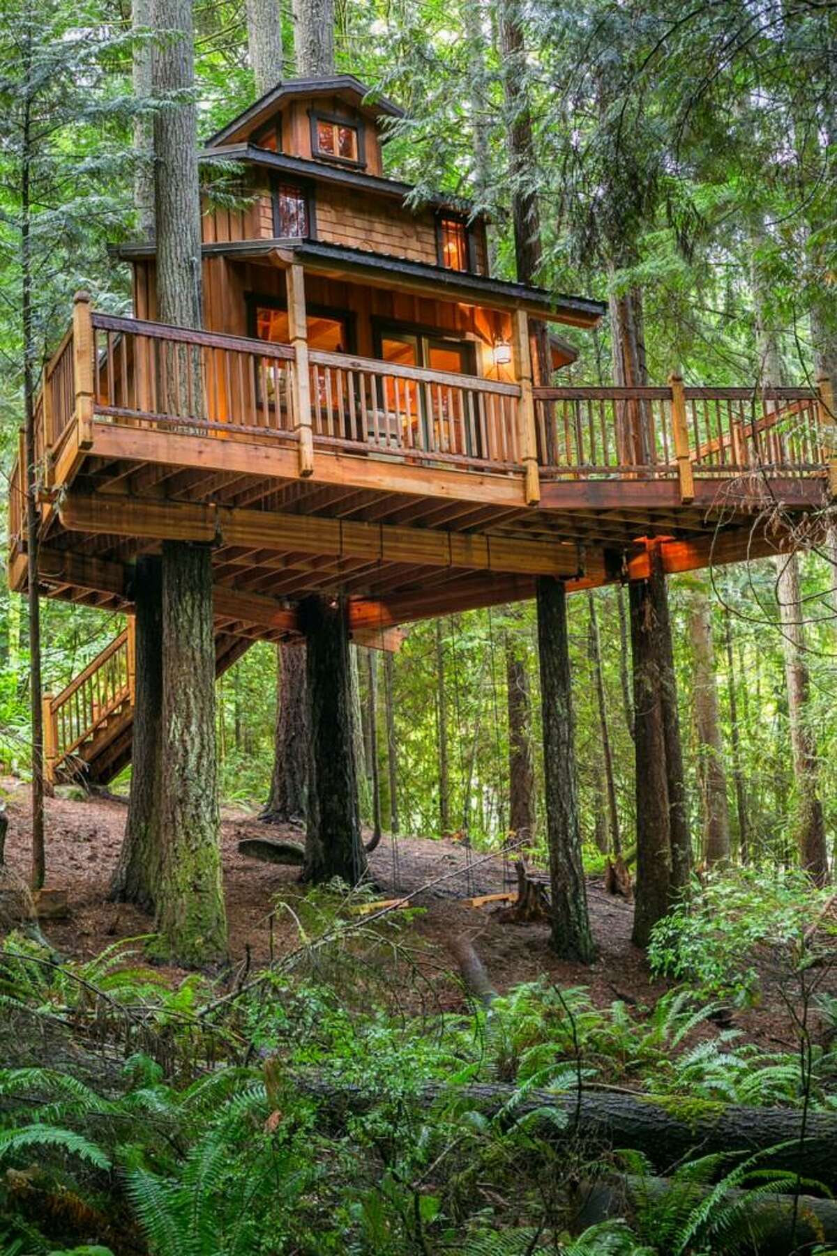 Tree house is