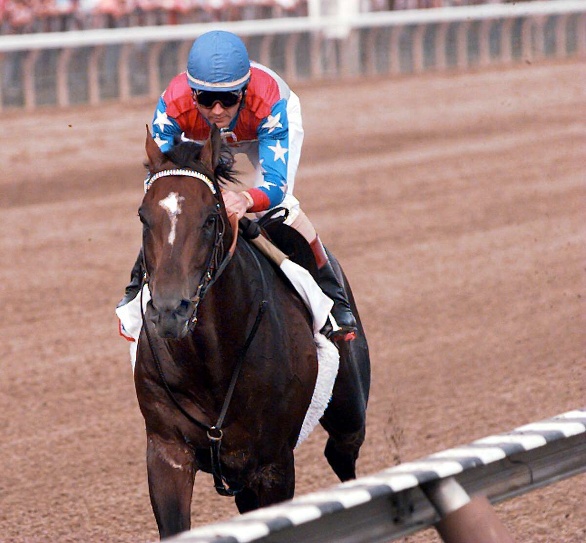 Champion horse Cigar passes away