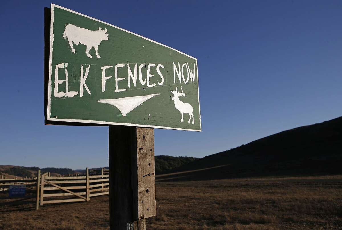 A sign displays an opinion near the Point Reyes National Seashore, Calif., on Thursday Oct. 2, 2014. Ranchers are complaining about the tule elk along the Point Reyes National Seashore, because they have begun roaming onto their grazing lands, knocking down fences and foraging where their cattle forage. The ranchers want the elk removed and fenced off, but conservationists think they should roam free.