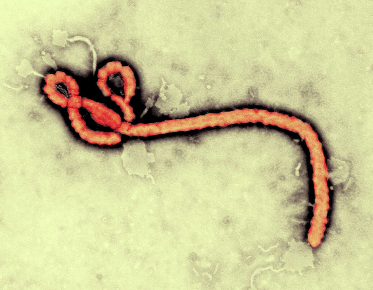 The deadly Ebola virus is the biggest medical story of 2014 and for good reason. As of Oct. 24, West Africa had seen nearly 10,000 cases and 4,868 deaths in five countries. Spain and the United States have also seen cases of the virus. Click through to follow how the virus arrived on American soil.