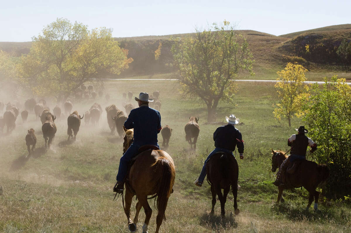 Ranch jobs in western south dakota