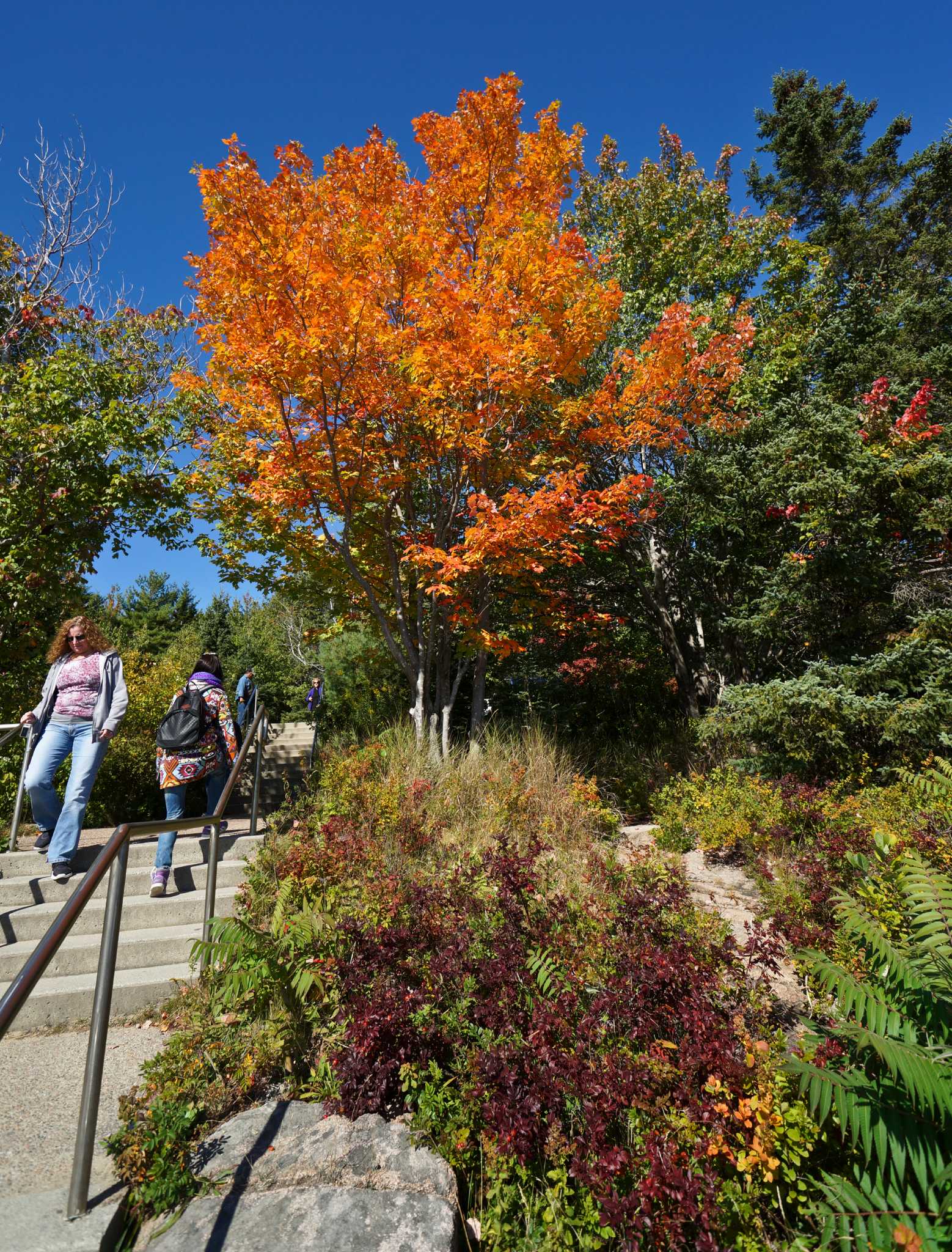 Leaf peeping in New England